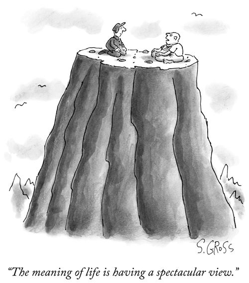 "The meaning of life is having a spectacular view."