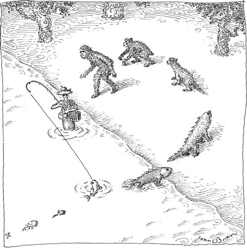 Evolution Interrupted By Man Fishing