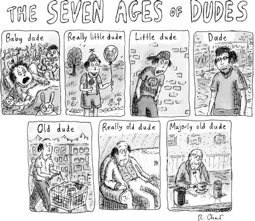 The seven ages of dudes