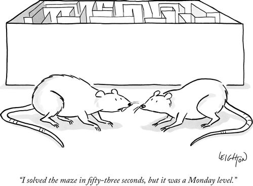 "I solved the maze in fifty-three seconds, but it was a Monday level."