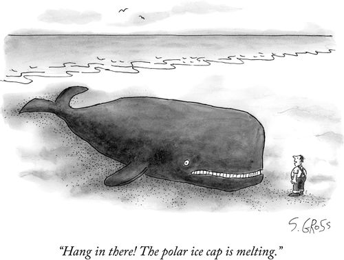 "Hang in there! The polar ice cap is melting."