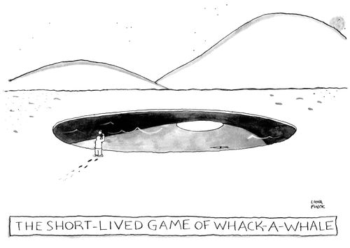The Short-Lived Game of Whack-a-Mole