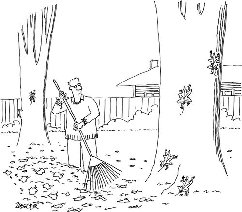 A man raking his lawn watches as the leaves climb back into the trees.