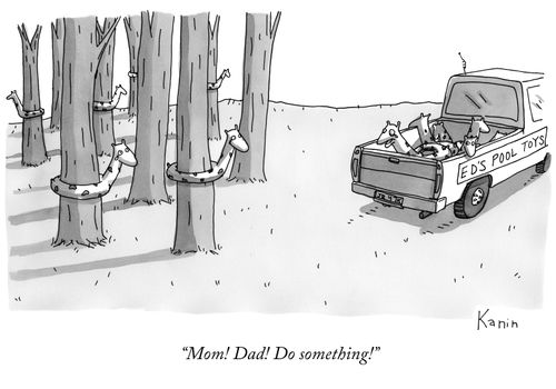 "Mom! Dad! Do something!"