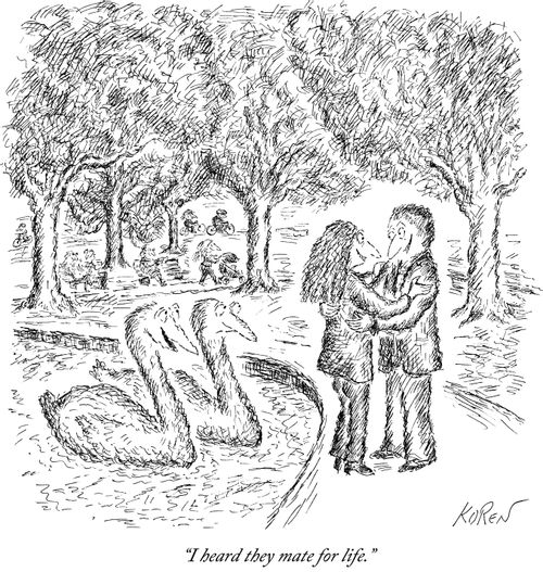 "I heard they mate for life."