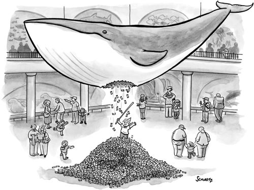 Whale Piñata.