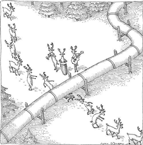 Reindeer in a conga line do the limbo beneath a pipeline.