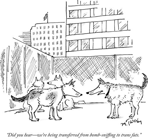 "Did you hear - we're being transferred from bomb-sniffing to trans fats."
