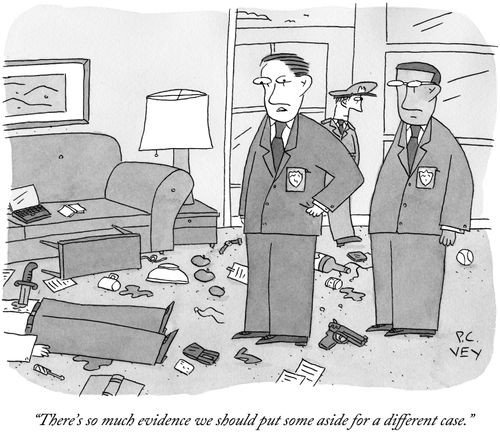 "There's so much evidence we should put some aside for a different case."