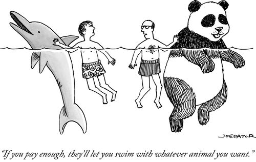 "If you pay enough, they'll let you swim with whatever animal you want."