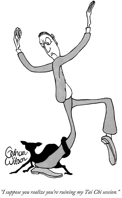 "I suppose you realize you're ruining my Tai Chi session."
