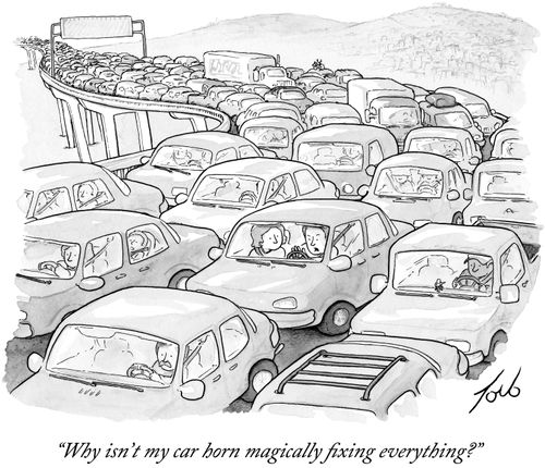"Why isn't my car horn magically fixing everything?"