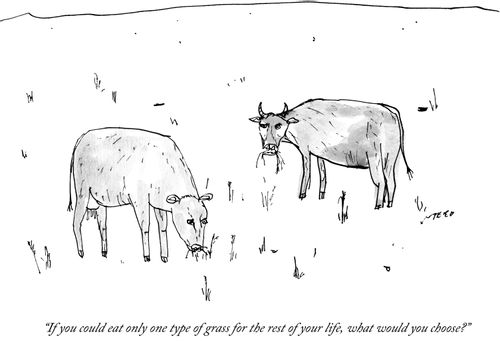 "If you could eat only one type of grass for the rest of your life, what would you choose?"