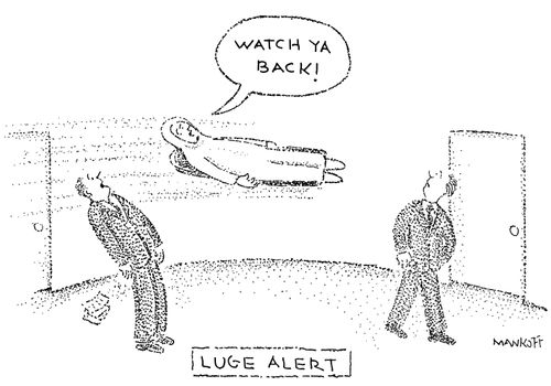 Luge Alert