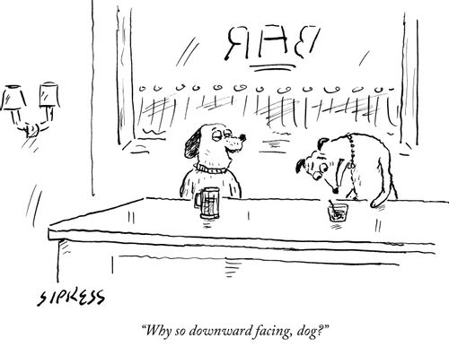 "Why so downward facing, dog?"