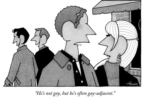 "He's not gay, but he's often gay-adjacent."