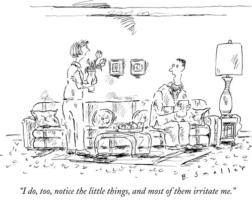 "I do, too, notice the little things, and most of them irritate me."