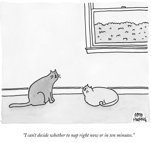"I can't decide whether to nap right now or in ten minutes."