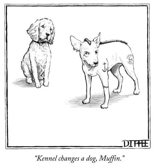 "Kennel changes a dog, Muffin."