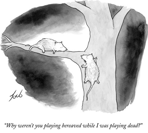 "Why weren't you playing bereaved while I was playing dead?"