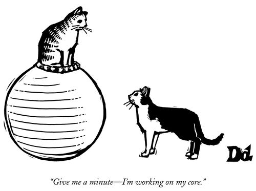 "Give me a minute—I'm working on my core."