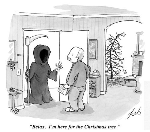 "Relax. I'm here for the Christmas tree."