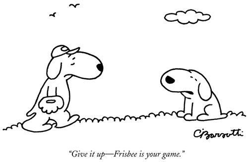 "Give it up—Frisbee is your game."