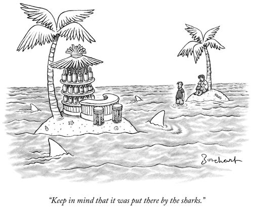 "Keep in mind that it was put there by the sharks."