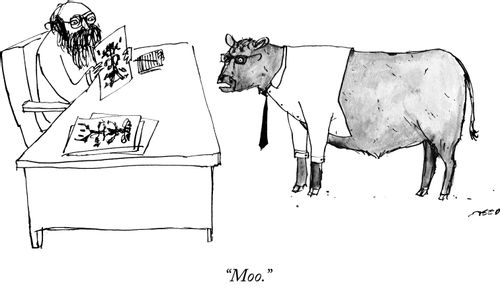 "Moo."