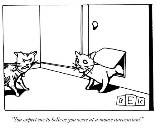 "You expect me to believe you were at a mouse convention?"