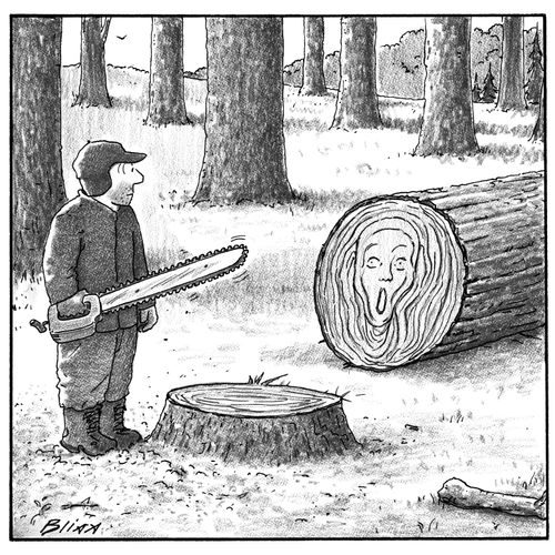 Lumberjack Finds Strange Tree Rings