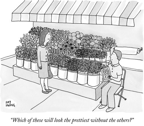 "Which of these will look the prettiest without the others?"