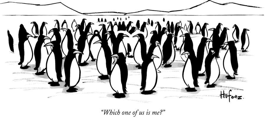 "Which one of us is me?"