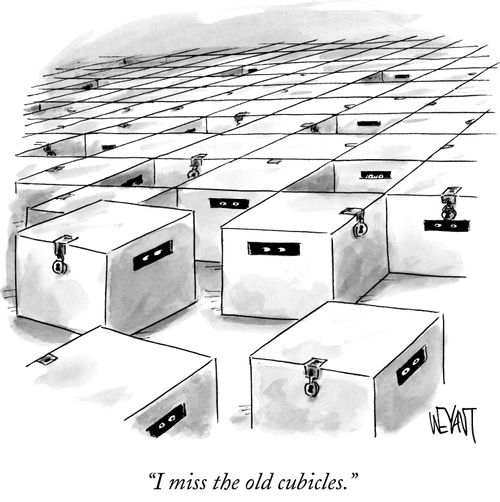 "I miss the old cubicles."