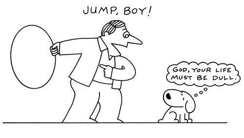 Jump Boy!God, your life must be dull.