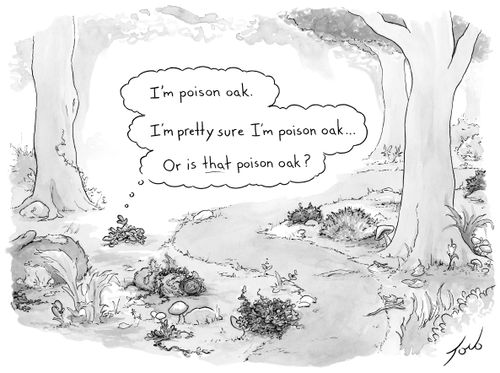 "I'm poison oak. I'm pretty sure I'm poison oak.... Or is that poison oak?"