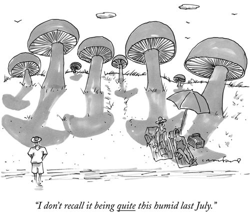 "I don't recall it being quite this humid last July."