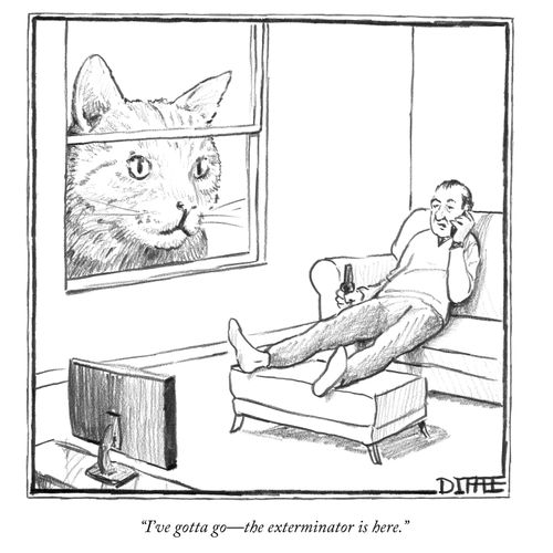 "I've gotta go – the exterminator is here."
