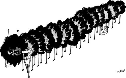 Centipede with a broken leg