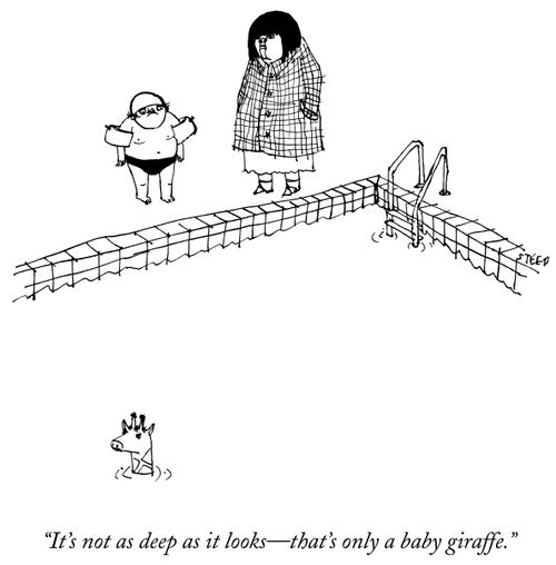 "It's not as deep as it looks - that's only a baby giraffe."