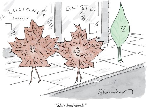 "She's had work."