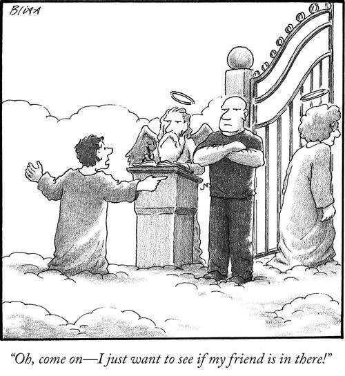 "Oh, come on—I just want to see if my friend is in there!"