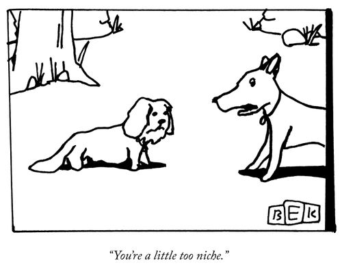 "You're a little too niche."