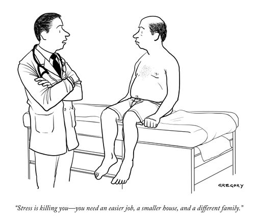 "Stress is killing you—you need an easier job, a smaller house, and a different family."