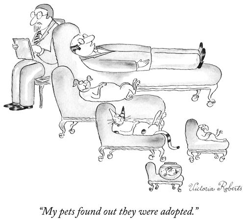 "My pets found out they were adopted."