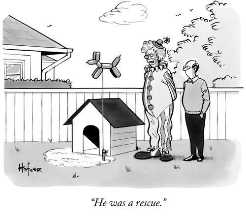 "He was a rescue."