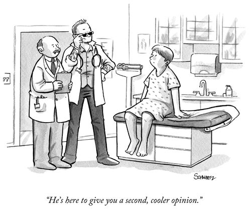 "He's here to give you a second, cooler opinion."
