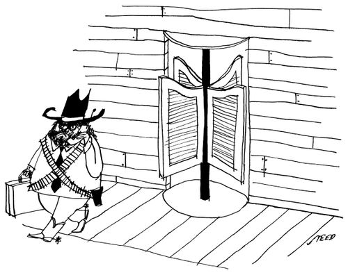 Old West Saloon Has Revolving Door Put In