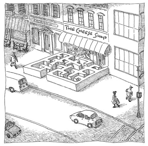 Maze Leading to a Cheese Shop