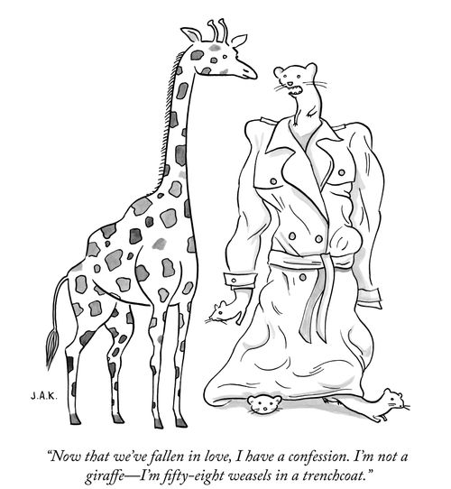 "Now that we've fallen in love, I have a confession. I'm not a giraffe—I'm fifty-eight weasels in a trenchcoat."